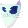 Cats by @my_unrefined 18