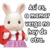 Cute soft 🩷2🇲🇽 26