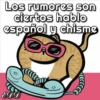 🐱Miausitos🐱 27