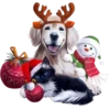 Animales Navideños🎄💞1🇵🇪Clásica 29