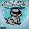 🐱Miausitos🐱 29