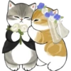 🐈G y S💞Michis🇨🇴🇲🇽Clásica 25