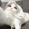 ᨳ◞ cats; 🐾 -> @wexsavi ꒱ 29