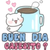 Osito Mix🩷🇨🇴🇲🇽 Clásica 21