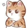🐈G y S💞Michis🇨🇴🇲🇽Clásica 26