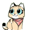 Gatitos💞9🇵🇪Clásica 30