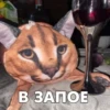 В ЗАПОЕ