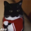 🎄Gatitos 3 😺 28