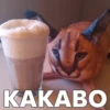 KAKABO