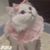 🎄Gatitos 3 😺 29