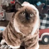 🎄Gatitos 3 😺 30