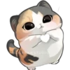 🐈 Variados🇨🇴🇲🇽Clásica 30