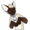 Cas Kitty 5