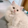 Стики 3084 из @Anonymnyi_chat_bot 6