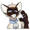 Cas Kitty 6