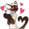 Cas Kitty 7