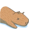 Capybara&Co 10