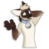 Cas Kitty 9