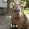CapyBara 9