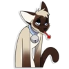 Cas Kitty 10