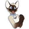 Cas Kitty 11