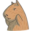 Capybara&Co 12