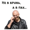 НЕ В БРОВЬ А В ПАХ....