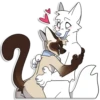 Cas Kitty 12