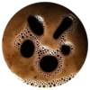 Coffee faces | @kachachargames 8