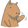 Capybara&Co 15
