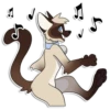Cas Kitty 14