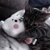 Cats^^ @xxfgldp🐈‍⬛ :: @fStikBot 5