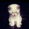 Коты by @stikeru7777 11
