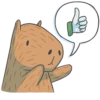 Capybara&Co 17