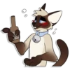 Cas Kitty 18