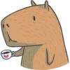 Capybara&Co 19