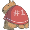 Capybara&Co 23