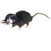 low quality danganronpa 19