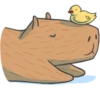 Capybara&Co 24