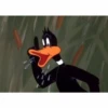bugs bunny is mine 17