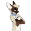 Cas Kitty 25