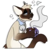Cas Kitty 26