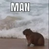 CapyBara 21