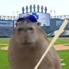 CapyBara 22