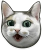 cats pechenegs 6