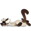 Cas Kitty 29