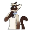 Cas Kitty 30