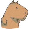 Capybara&Co 30