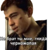 Не брат ты мне, гнида черножопая