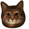 cats pechenegs 7